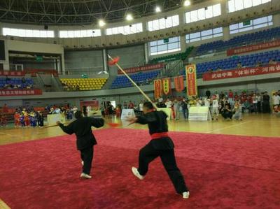 武动中原“体彩杯”河南省首届传统武术大赛在长垣开赛_新浪城市_新浪网