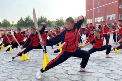 河南登封那家武校办学最好