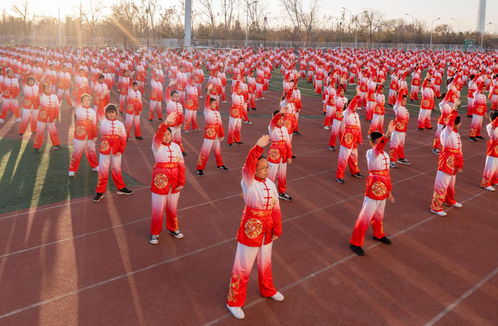 天津南开 让武术走进校园 带孩子们感受传统文化强健体魄