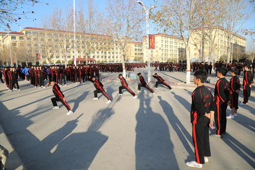 经典 习武需要注意的四点,你知道吗