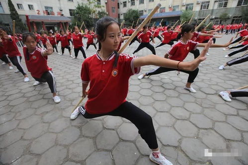 河南郑州崇山少林武校 好后悔把儿子送去武校