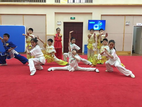 学校开了武术课,小学生长高了力气变大了,还说做事有干劲了