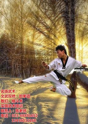 武术教学_重庆名扬武校_武术教学图片