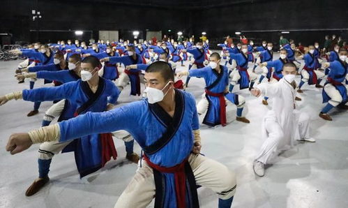 塔沟武校参加央视春晚第四次彩排 武术节目创意源自少林寺演武壁画