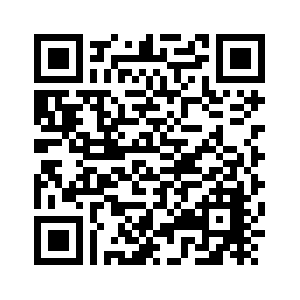 研学教育新范式:少室山武术学校以"三馆联动"激活传统文化育人动能