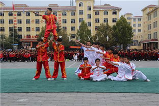 嵩山少林寺武校为学员的就业之路锦上添花