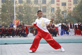 少林武校说教育从培养习惯开始