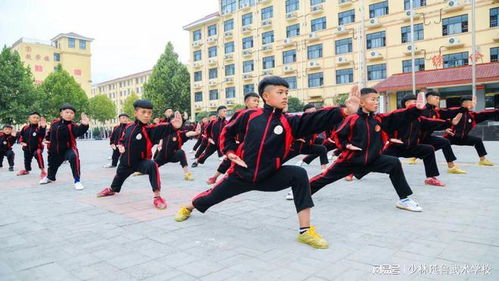 延鲁武校 学习武术带来的好处 网易订阅