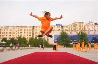 孩子在少林寺武术学校刚开始都学些什么功夫呢