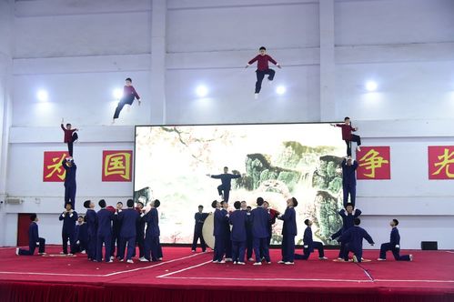 他们为何“出圈”——全国40余家主流融媒体记者实探郑州少林塔沟教育集团武术学校
