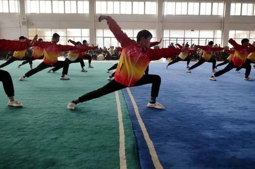 宋江武校2022年冬季运动会赛场精彩瞬间