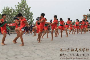 嵩山少林寺武术学校推荐与选择指南