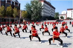 嵩山少林寺武术学校 支持随到随学，开启武术学习新篇章
