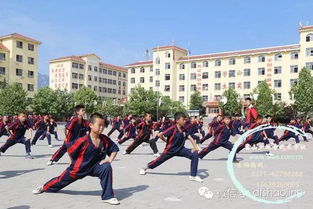少林寺公办武术学校招生时间及入学指南