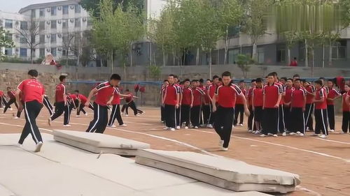 武校生活实拍 每日武术训练铸就卓越体质